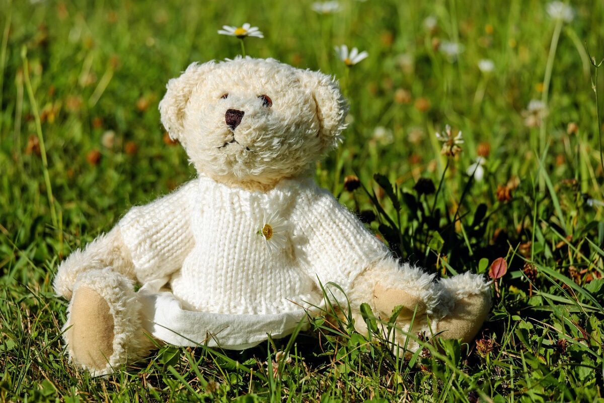 A small plush teddy bear on a shop shelf
